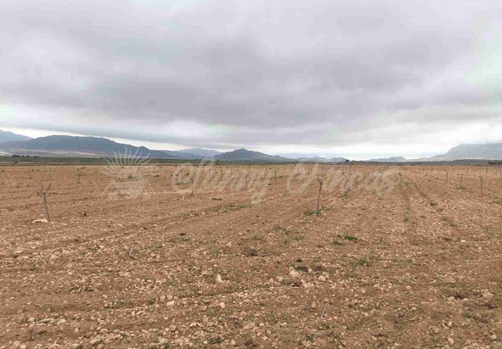 Helårsgrund i Yecla, Murcia, Yecla - € 47.000 | Ref: SF0566 - foto 1